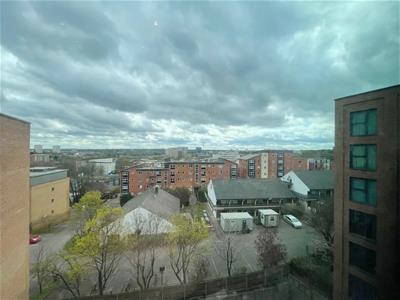 Picture 9